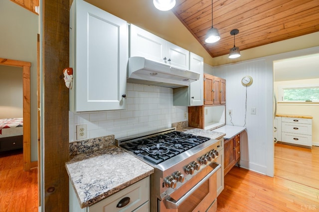 1343 Wares Gap Rd, Monroe, VA 24574 - kitchen with light wood-style flooring, tasteful backsplash, under cabinet range hood, lofted ceiling, and stove