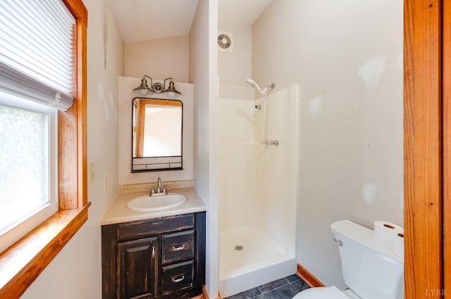 1343 Wares Gap Rd, Monroe, VA 24574 - bathroom with toilet, vanity, and a stall shower
