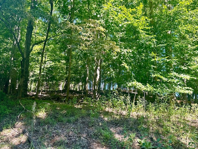 0 Whisperwood Ln, Moneta, VA 24121