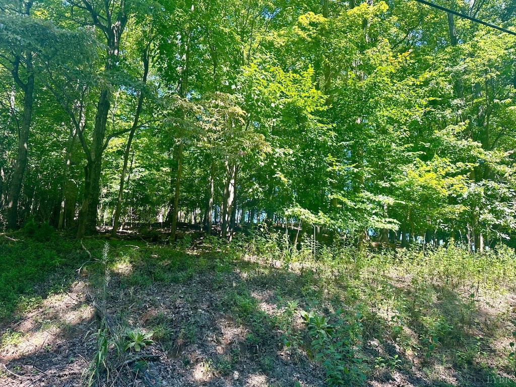 0 Whisperwood Ln, Moneta, VA 24121