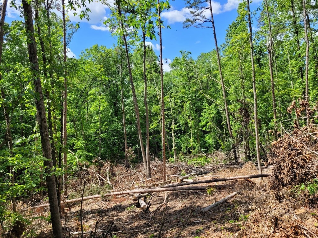 0 Rosseechee Ct, Clarksville, VA 23927
