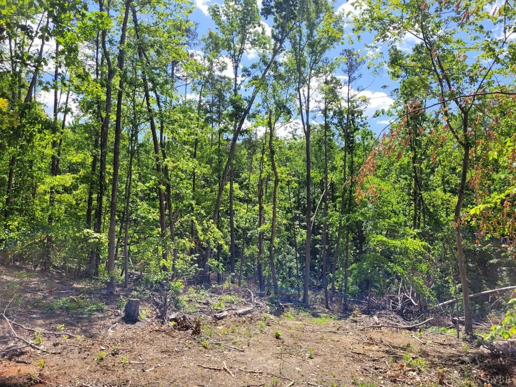 0 Rosseechee Ct, Clarksville, VA 23927