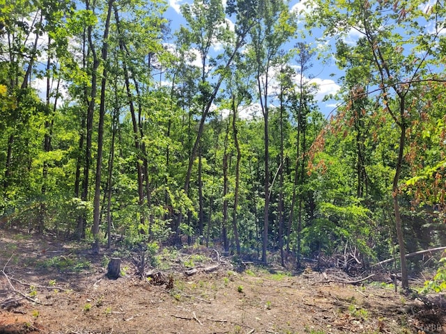 0 Rosseechee Ct, Clarksville, VA 23927