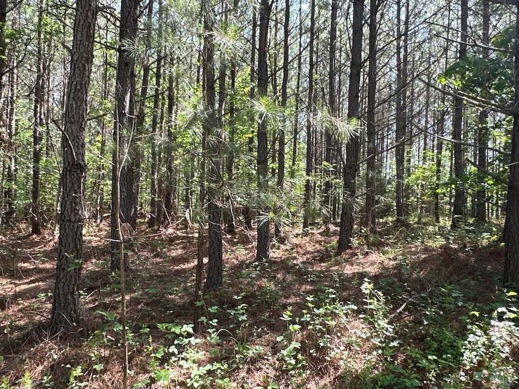 0 W Gretna Rd, Gretna, VA 24557