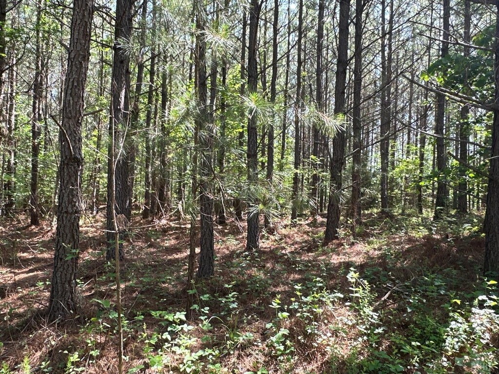 0 W Gretna Rd, Gretna, VA 24557 - photo 1