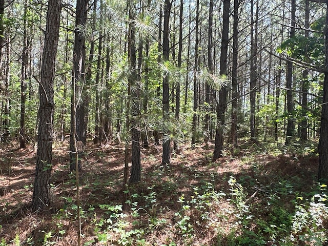 0 W Gretna Rd, Gretna, VA 24557 - photo 1
