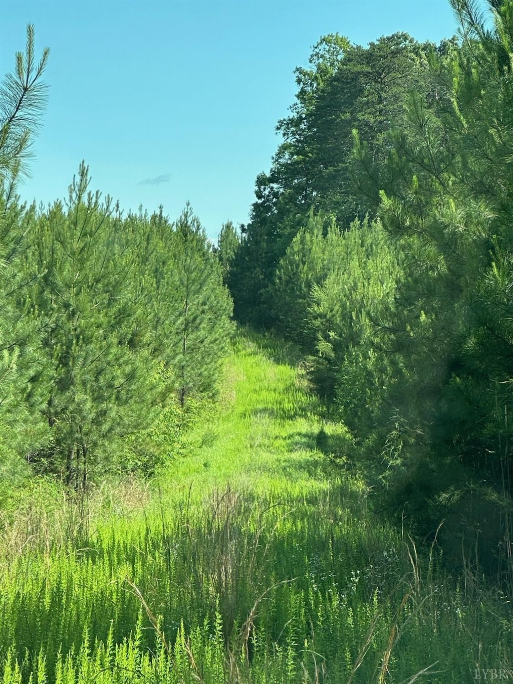 0 W Gretna Rd, Gretna, VA 24557