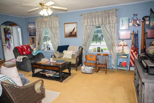 811 Broad St, Altavista, VA 24517 - carpeted living room with ceiling fan and crown molding