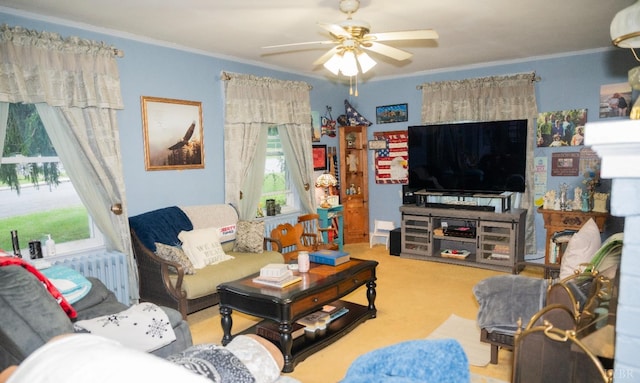 811 Broad St, Altavista, VA 24517 - carpeted living room featuring crown molding and ceiling fan
