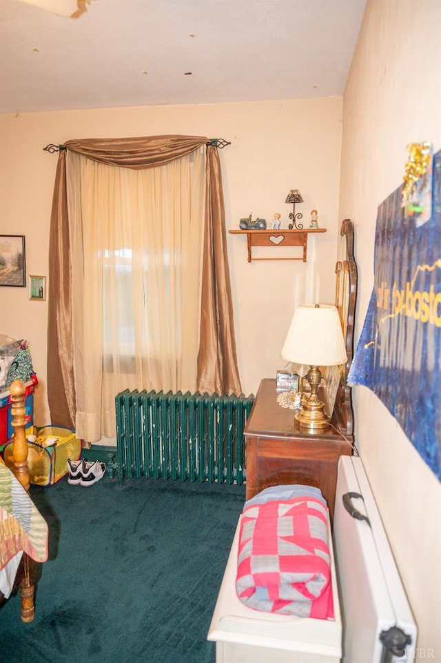 811 Broad St, Altavista, VA 24517 - bedroom with radiator and carpet
