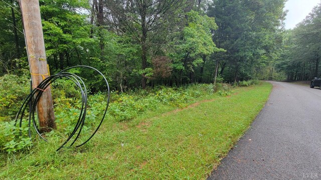 25 Gap Bridge Rd, Moneta, VA 24121