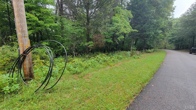 25 Gap Bridge Rd, Moneta, VA 24121 - photo 7