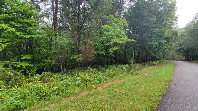 25 Gap Bridge Rd, Moneta, VA 24121