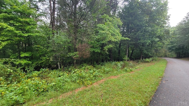 25 Gap Bridge Rd, Moneta, VA 24121 - photo 8
