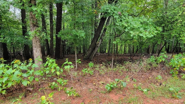 25 Gap Bridge Rd, Moneta, VA 24121 - photo 11