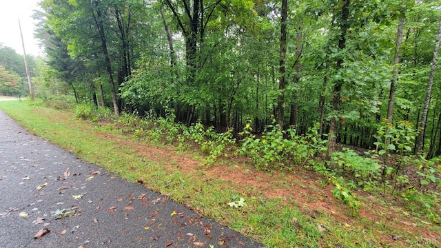 25 Gap Bridge Rd, Moneta, VA 24121 - photo 10