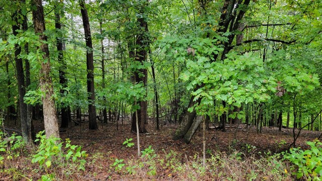 25 Gap Bridge Rd, Moneta, VA 24121