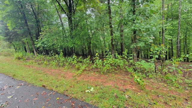 25 Gap Bridge Rd, Moneta, VA 24121 - photo 1
