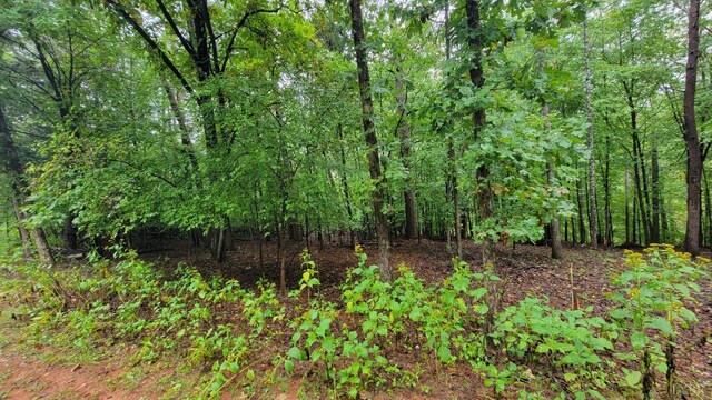 25 Gap Bridge Rd, Moneta, VA 24121