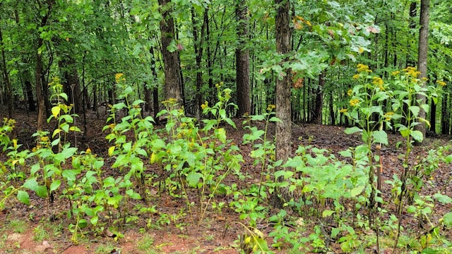 25 Gap Bridge Rd, Moneta, VA 24121 - photo 3