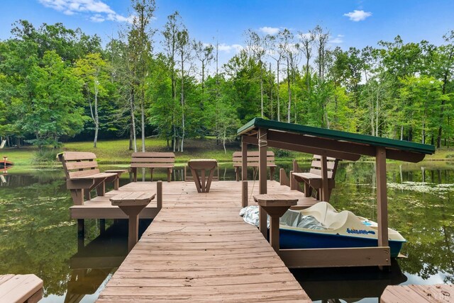 103 Steven St, Farmville, VA 23901 - photo 63