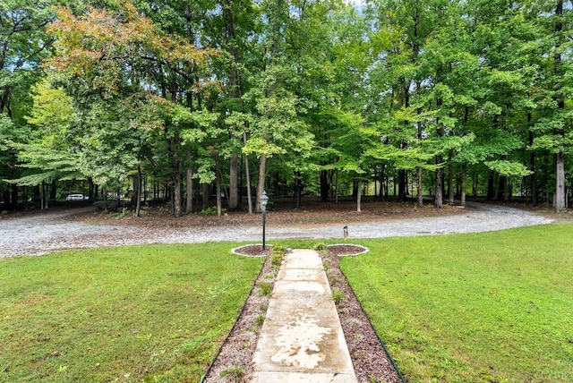 103 Steven St, Farmville, VA 23901 - photo 70