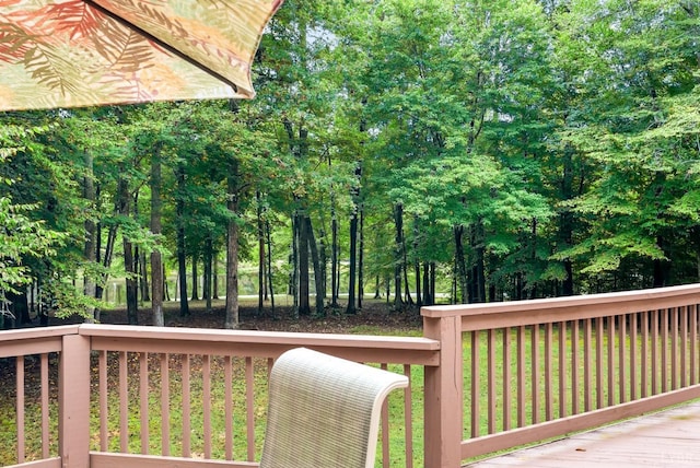 103 Steven St, Farmville, VA 23901 - photo 59
