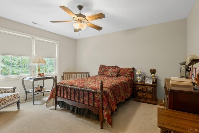 103 Steven St, Farmville, VA 23901 - photo 42
