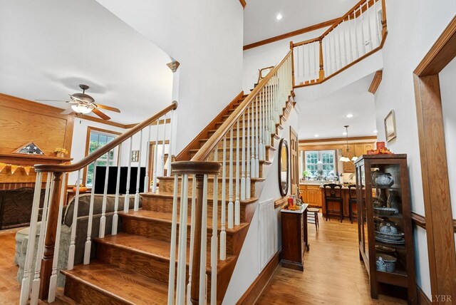 103 Steven St, Farmville, VA 23901 - photo 7