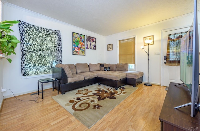 906 8th St, Lynchburg, VA 24504 - living area with light wood-style flooring, ornamental molding, baseboards, and a textured ceiling