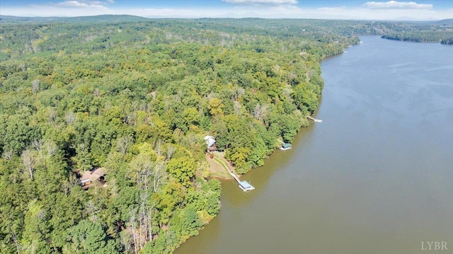 0 Runaway Bay Rd, Lynch Station, VA 24571 - photo 15