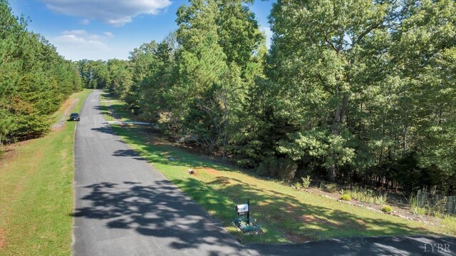 0 Runaway Bay Rd, Lynch Station, VA 24571 - photo 17
