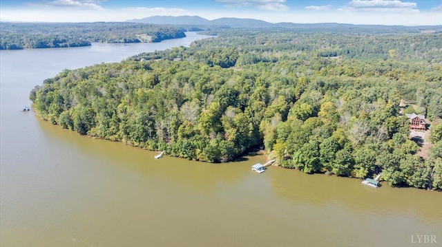 0 Runaway Bay Rd, Lynch Station, VA 24571 - photo 6