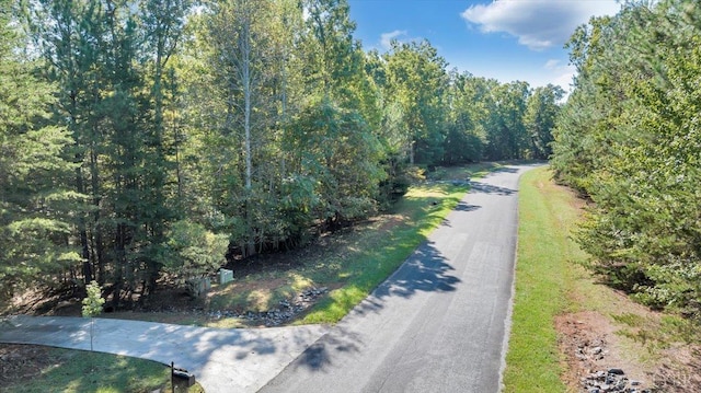 0 Runaway Bay Rd, Lynch Station, VA 24571 - photo 16