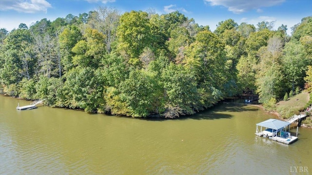0 Runaway Bay Rd, Lynch Station, VA 24571 - photo 3