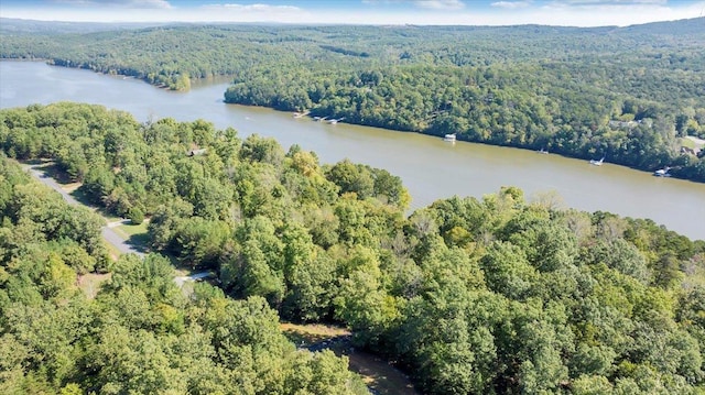 0 Runaway Bay Rd, Lynch Station, VA 24571 - photo 11
