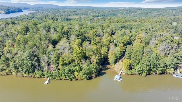 0 Runaway Bay Rd, Lynch Station, VA 24571 - photo 5