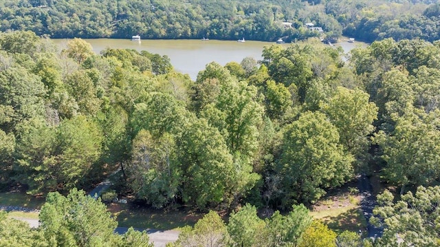 0 Runaway Bay Rd, Lynch Station, VA 24571 - photo 13
