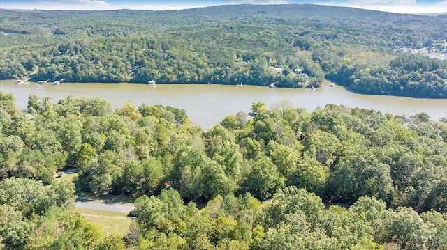 0 Runaway Bay Rd, Lynch Station, VA 24571 - photo 12