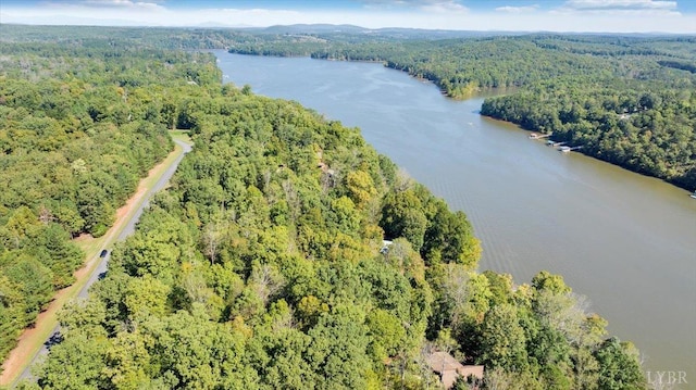 0 Runaway Bay Rd, Lynch Station, VA 24571 - photo 14