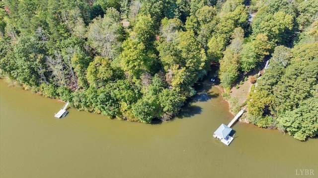 0 Runaway Bay Rd, Lynch Station, VA 24571 - photo 4