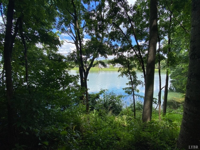 0 Lake Shore Dr, Forest, VA 24551