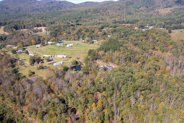 1155 Gaston Rd, Vinton, VA 24179 - view of property location with a heavily wooded area and a mountainous background
