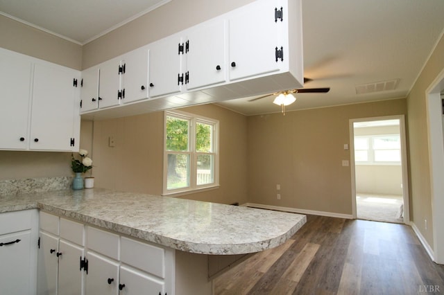 5427 Snake Creek Rd, Stuart, VA 24343 - kitchen featuring white cabinets, visible vents, light countertops, dark wood-style floors, and a ceiling fan