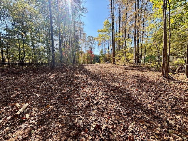 0 Locust Dr, Cascade, VA 24069