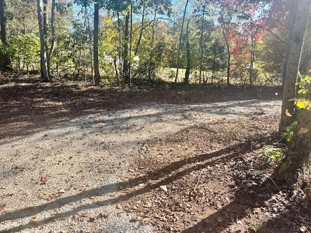 0 Locust Dr, Cascade, VA 24069