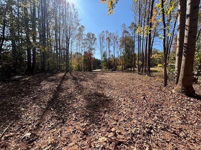 0 Locust Dr, Cascade, VA 24069