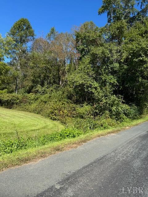 3535 Cabell Rd, Wingina, VA 24599 - photo 6