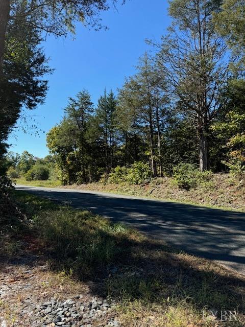 3535 Cabell Rd, Wingina, VA 24599 - view of street
