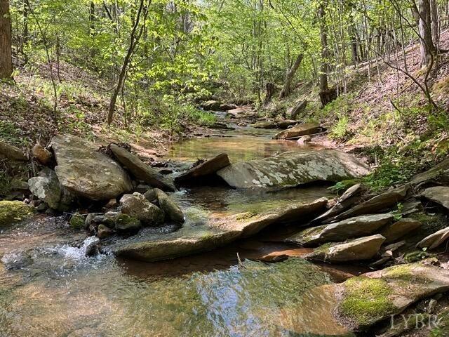 0 Mountain Ridge Rd, Glade Hill, VA 24092 - photo 7